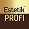 Estetik Profi Logo